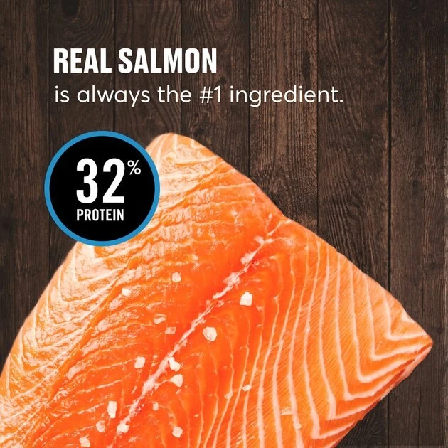 American Journey Sensitive Stomach Total Health Formula Salmon & Brown Rice Recipe Dry Cat Food, 15lb bag American Journey Sensitive Stomach Total Health Formula Salmon & Brown Rice Recipe Dry Cat Food, 15lb bag -American Journey Sales 2024 299544 PT3. SY630 V1630080704