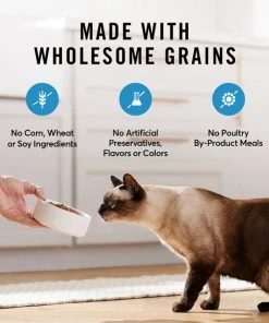 American Journey Sensitive Stomach Total Health Formula Salmon & Brown Rice Recipe Dry Cat Food, 15lb bag 6 American Journey Sensitive Stomach Total Health Formula Salmon & Brown Rice Recipe Dry Cat Food, 15lb bag -American Journey Sales 2024 299544 PT4. SY630 V1630441586