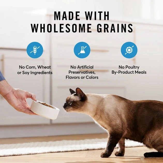 American Journey Sensitive Stomach Total Health Formula Salmon & Brown Rice Recipe Dry Cat Food, 15lb bag American Journey Sensitive Stomach Total Health Formula Salmon & Brown Rice Recipe Dry Cat Food, 15lb bag -American Journey Sales 2024 299544 PT4. SY630 V1630441586