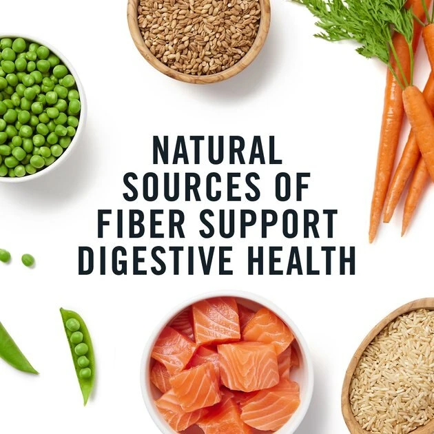 American Journey Sensitive Stomach Total Health Formula Salmon & Brown Rice Recipe Dry Cat Food, 15lb bag American Journey Sensitive Stomach Total Health Formula Salmon & Brown Rice Recipe Dry Cat Food, 15lb bag -American Journey Sales 2024 299544 PT7. SY630 V1630080699