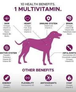 American Journey||PetHonesty American Journey Active Life Formula Beef, Brown Rice & Vegetables Recipe Dry Food + PetHonesty 10-for-1 Multivitamin with Glucosamine Soft Chews Dog Supplement 8 American Journey||PetHonesty American Journey Active Life Formula Beef, Brown Rice & Vegetables Recipe Dry Food + PetHonesty 10-for-1 Multivitamin with Glucosamine Soft Chews Dog Supplement -American Journey Sales 2024 301698 PT6. SY630 V1622641049