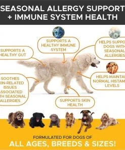 American Journey||PetHonesty American Journey Active Life Formula Chicken, Brown Rice & Vegetables Recipe Dog Food + PetHonesty Allergy Support Immunity Strength & Digestive Health Soft Chews Dog Supplement 8 American Journey||PetHonesty American Journey Active Life Formula Chicken, Brown Rice & Vegetables Recipe Dog Food + PetHonesty Allergy Support Immunity Strength & Digestive Health Soft Chews Dog Supplement -American Journey Sales 2024 301700 PT6. SY630 V1622659038