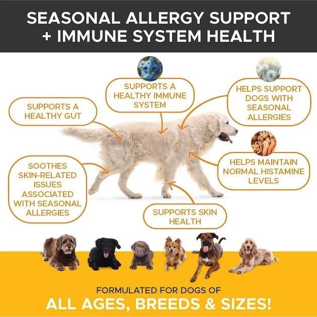 American Journey Active Life Formula Chicken, Brown Rice & Vegetables Recipe Dog Food + PetHonesty Allergy Support Immunity Strength & Digestive Health Soft Chews Dog Supplement American Journey||PetHonesty American Journey Active Life Formula Chicken, Brown Rice & Vegetables Recipe Dog Food + PetHonesty Allergy Support Immunity Strength & Digestive Health Soft Chews Dog Supplement -American Journey Sales 2024 301700 PT6. SY630 V1622659038