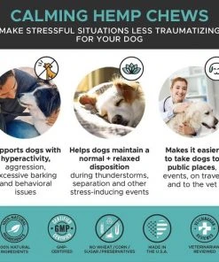 American Journey||PetHonesty American Journey Active Life Formula Lamb, Brown Rice & Vegetables Recipe Dry Food + PetHonesty Hemp Calming Anxiety & Hyperactivity Soft Chews Dog Supplement 8 American Journey||PetHonesty American Journey Active Life Formula Lamb, Brown Rice & Vegetables Recipe Dry Food + PetHonesty Hemp Calming Anxiety & Hyperactivity Soft Chews Dog Supplement -American Journey Sales 2024 301710 PT6. SY630 V1622652455