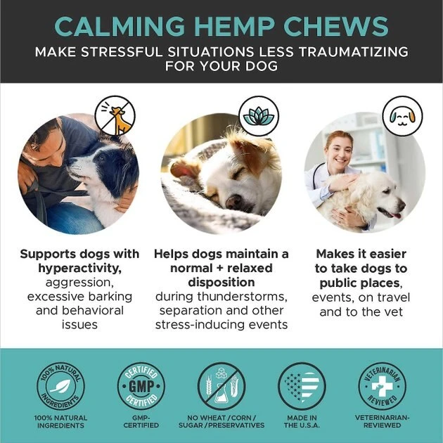 American Journey Active Life Formula Lamb, Brown Rice & Vegetables Recipe Dry Food + PetHonesty Hemp Calming Anxiety & Hyperactivity Soft Chews Dog Supplement American Journey||PetHonesty American Journey Active Life Formula Lamb, Brown Rice & Vegetables Recipe Dry Food + PetHonesty Hemp Calming Anxiety & Hyperactivity Soft Chews Dog Supplement -American Journey Sales 2024 301710 PT6. SY630 V1622652455