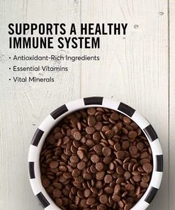 American Journey Puppy Lamb & Sweet Potato Recipe Grain-Free Dry Food + Beef Recipe Grain-Free Soft & Chewy Training Bits Dog Treats 5 American Journey Puppy Lamb & Sweet Potato Recipe Grain-Free Dry Food + Beef Recipe Grain-Free Soft & Chewy Training Bits Dog Treats -American Journey Sales 2024 301766 PT3. SY630 V1622815651