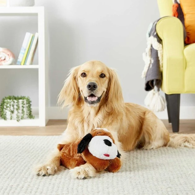 American Journey Puppy Lamb & Sweet Potato Recipe Grain-Free Dry Food + Smart Pet Love Snuggle Puppy Behavioral Aid Dog Toy American Journey||Smart Pet Love American Journey Puppy Lamb & Sweet Potato Recipe Grain-Free Dry Food + Smart Pet Love Snuggle Puppy Behavioral Aid Dog Toy -American Journey Sales 2024 301770 PT7. SY630 V1622823748