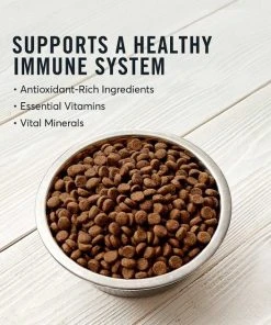 American Journey Active Life Formula Large Breed Puppy Chicken, Brown Rice & Vegetables Recipe Dry Food + Beef Recipe Grain-Free Soft & Chewy Training Bits Dog Treats 5 American Journey Active Life Formula Large Breed Puppy Chicken, Brown Rice & Vegetables Recipe Dry Food + Beef Recipe Grain-Free Soft & Chewy Training Bits Dog Treats -American Journey Sales 2024 302146 PT3. SY630 V1623085660