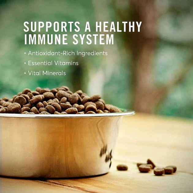 American Journey Active Life Formula Senior Chicken, Brown Rice & Vegetables Recipe Dry Food + KONG Senior Dog Toy, Large American Journey||KONG American Journey Active Life Formula Senior Chicken, Brown Rice & Vegetables Recipe Dry Food + KONG Senior Dog Toy, Large -American Journey Sales 2024 302224 PT3. SY630 V1623055349