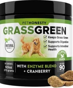 American Journey||PetHonesty American Journey Active Life Formula Senior Chicken, Brown Rice & Vegetables Recipe Dry Food + PetHonesty GrassGreen Snacks Cranberry Extract with Probiotics Soft Chews Dog Supplement -American Journey Sales 2024 302226 PT4. SY630 V1623080250