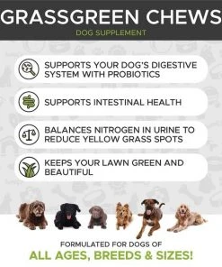 American Journey||PetHonesty American Journey Active Life Formula Senior Chicken, Brown Rice & Vegetables Recipe Dry Food + PetHonesty GrassGreen Snacks Cranberry Extract with Probiotics Soft Chews Dog Supplement -American Journey Sales 2024 302226 PT6. SY630 V1623080257