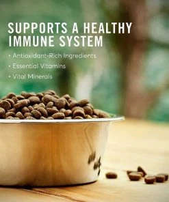 American Journey Active Life Formula Senior Salmon, Brown Rice & Vegetables Recipe Dry Food + Poultry & Beef Variety Pack Grain-Free Canned Dog Food 5 American Journey Active Life Formula Senior Salmon, Brown Rice & Vegetables Recipe Dry Food + Poultry & Beef Variety Pack Grain-Free Canned Dog Food -American Journey Sales 2024 302238 PT3. SY630 V1623035859