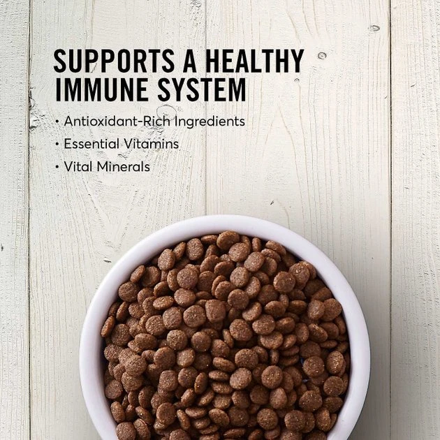 American Journey||KONG American Journey Senior Salmon & Sweet Potato Recipe Grain-Free Dry Food + KONG Senior Dog Toy, Large 6 American Journey||KONG American Journey Senior Salmon & Sweet Potato Recipe Grain-Free Dry Food + KONG Senior Dog Toy, Large - Image 4