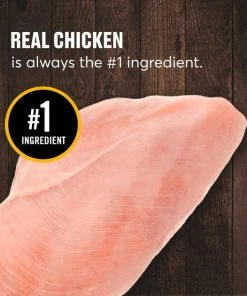 American Journey Senior Pate Chicken Recipe Canned Cat Food -American Journey Sales 2024 330851 PT3. SY630 V1637694700