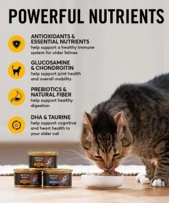 American Journey Pate Senior Wet Cat Food Variety Pack -American Journey Sales 2024 331112 PT4. SY630 V1641843468