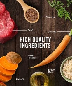 American Journey Active Life Formula Poultry & Beef Variety Pack Canned Dog Food + Beef, Brown Rice & Vegetables Recipe Dry Food -American Journey Sales 2024 516510 PT8. SY630 V1649374964