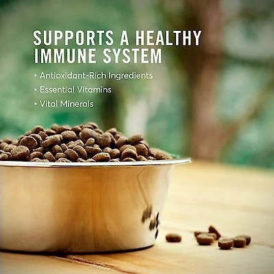 American Journey Active Life Formula Lamb & Garden Vegetables Recipe Canned Dog Food + Lamb, Brown Rice & Vegetables Recipe Dry Food American Journey Active Life Formula Lamb & Garden Vegetables Recipe Canned Dog Food + Lamb, Brown Rice & Vegetables Recipe Dry Food -American Journey Sales 2024 516534 PT8. SY630 V1650092497