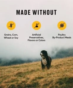 American Journey Chicken Recipe Grain-Free Canned Dog Food + Chicken & Sweet Potato Recipe Dry Food 10 American Journey Chicken Recipe Grain-Free Canned Dog Food + Chicken & Sweet Potato Recipe Dry Food -American Journey Sales 2024 523070 PT8. SY630 V1650049592