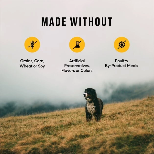 American Journey Chicken Recipe Grain-Free Canned Dog Food + Chicken & Sweet Potato Recipe Dry Food American Journey Chicken Recipe Grain-Free Canned Dog Food + Chicken & Sweet Potato Recipe Dry Food -American Journey Sales 2024 523070 PT8. SY630 V1650049592