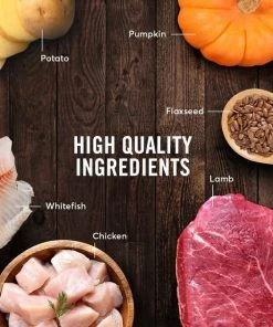 American Journey Lamb Recipe Canned Food + Lamb & Sweet Potato Recipe Dry Dog Food 6 American Journey Lamb Recipe Canned Food + Lamb & Sweet Potato Recipe Dry Dog Food -American Journey Sales 2024 570006 PT4. SY630 V1657660051