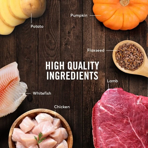 American Journey Lamb Recipe + Beef & Chicken Recipe Canned Dog Food American Journey Lamb Recipe + Beef & Chicken Recipe Canned Dog Food -American Journey Sales 2024 574638 PT4. SY630 V1657660392