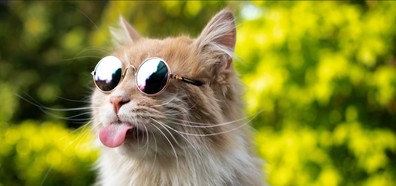 Gazebo Parts Direct Sales Store -American Journey Sales 2024 Dingtalk 20240603152230